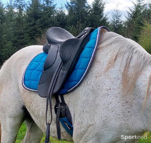 Equitation - Selle wintec endurance - photo 3