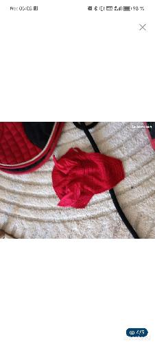 Equitation - Set tapis  - photo 6