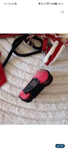 Equitation - Set tapis  - photo 6