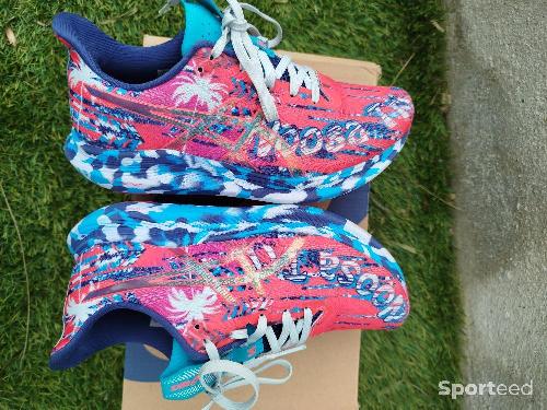 Course à pied route - Asics gel Tri noosa 14  - photo 6