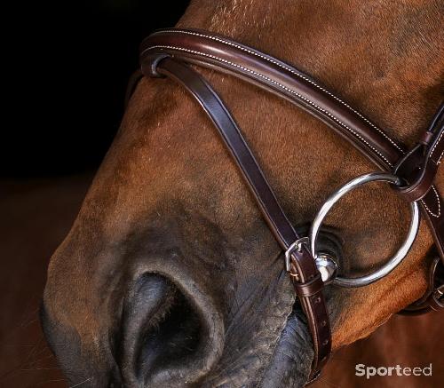 Equitation - Bridon « Londres » Cob/Pur-sang - photo 4