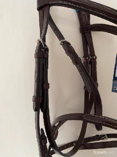 Equitation - Bridon « Londres » Cob/Pur-sang - photo 6