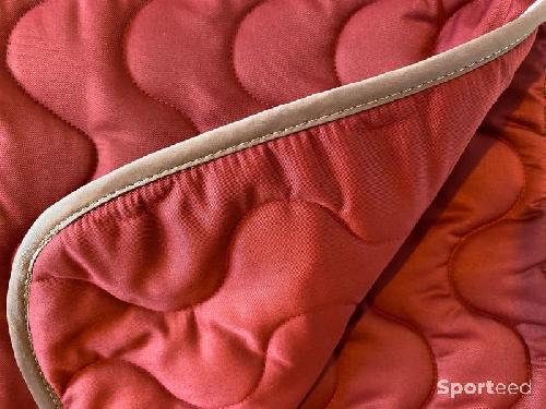 Equitation - Tapis de Selle « Polyfun » Cheval bordeaux - photo 5