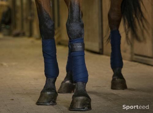 Equitation - Bandes de Polo marine - photo 3