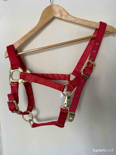 Equitation - Licol « Nylon » Cob/Pur-sang rouge - photo 6