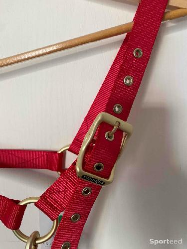 Equitation - Licol « Nylon » Cob/Pur-sang rouge - photo 6