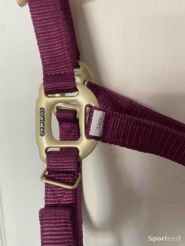 Equitation - Licol « Nylon » Cheval bordeaux - photo 6