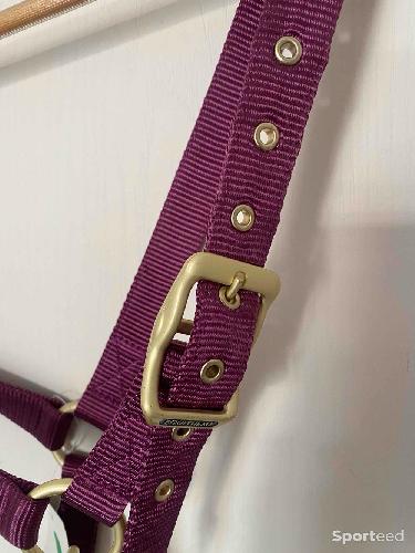 Equitation - Licol « Nylon » Cheval bordeaux - photo 6