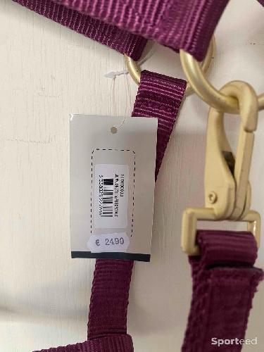 Equitation - Licol « Nylon » Cheval bordeaux - photo 6