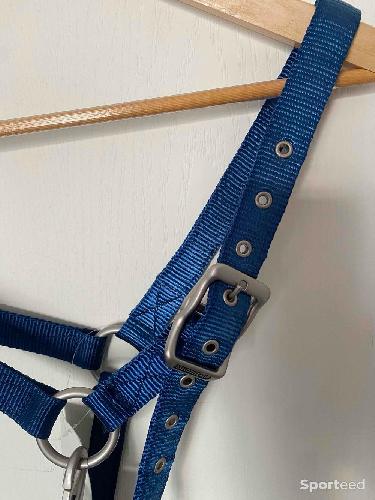 Equitation - Licol « Nylon » Cob/Pur-sang marine - photo 6