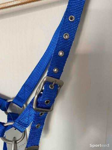 Equitation - Licol « Nylon » Cheval bleu - photo 6