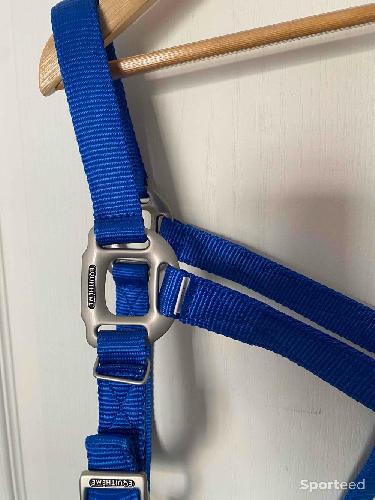 Equitation - Licol « Nylon » Cheval bleu - photo 6