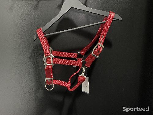 Licol nylon poney rouge