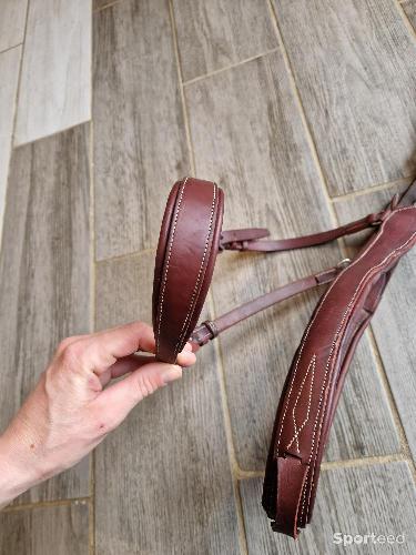 Equitation - Bricole devoucoux - photo 6