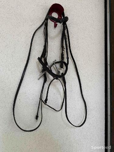 Equitation - Filet taille cheval / mors  - photo 6