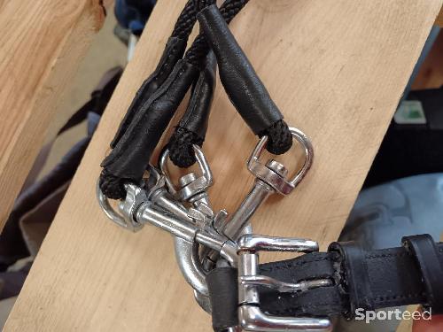 Equitation - Cogue  - photo 6