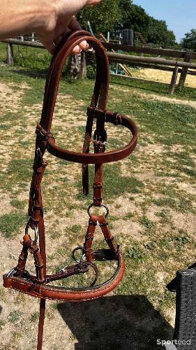 Equitation - Sidepull cuir cheval - photo 3