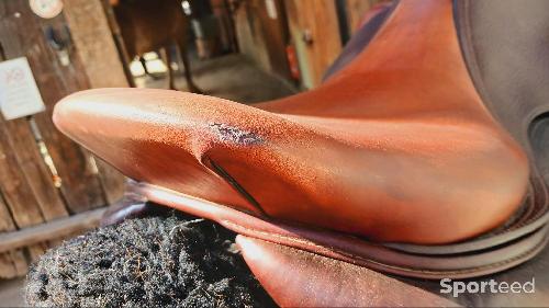 Equitation - Selle Cwd  - photo 6