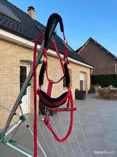 Equitation - licol  - photo 6