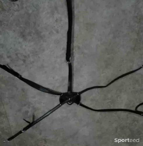 Equitation - Collier de chasse dyon  - photo 5