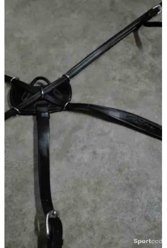 Equitation - Collier de chasse dyon  - photo 5