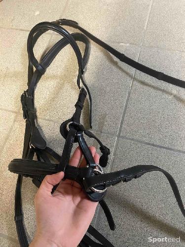 Equitation - Side pull - photo 5