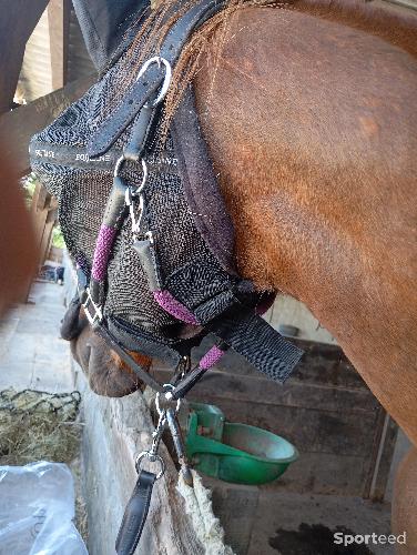 Equitation - maquette anti-mouche  - photo 6
