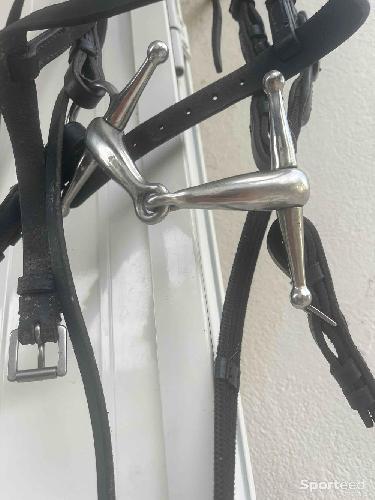 Equitation - Filet (bridon) - photo 4