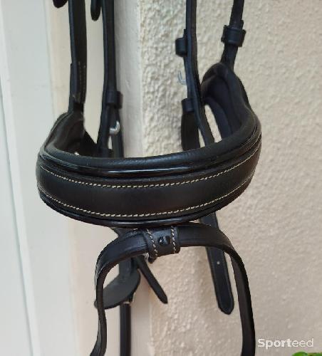 Equitation - Filet / Bridon Working Dyon - photo 6