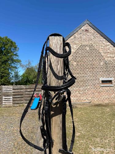 Equitation - bridon shetland  - photo 4