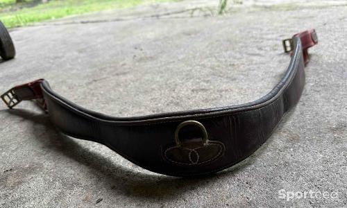 Equitation - Sangle cuir élastique marron/bordeau - photo 6