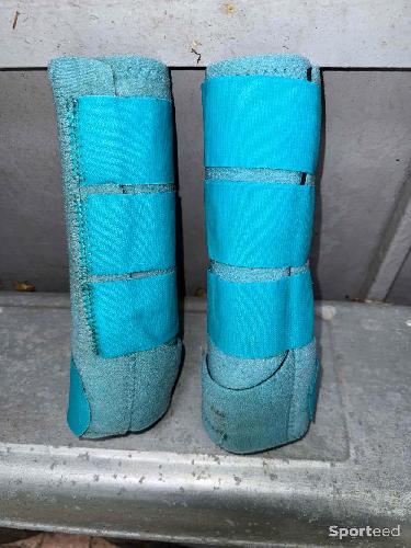 Equitation - Guêtres SMBII turquoise  - photo 6