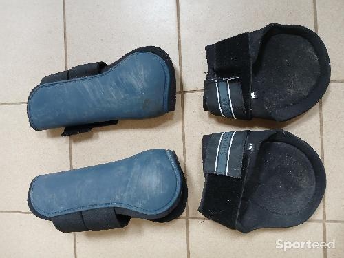 Equitation - Protection cheval  - photo 3