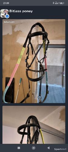 Equitation - Bitless - photo 6