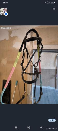 Equitation - Bitless - photo 6
