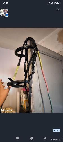 Equitation - Bitless - photo 6