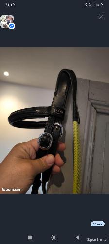 Equitation - Bitless - photo 6