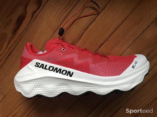 Course à pied trail - Salomon slab ultra glide - photo 5