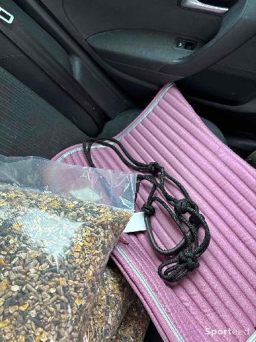 Equitation - Tapis rose Equitheme  - photo 4