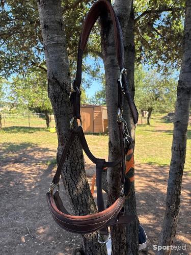 Equitation - Licol similicuir  - photo 5