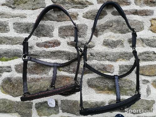 Equitation - licol cuir paillettes neufs noir ou marron, cob ou cheval  - photo 6