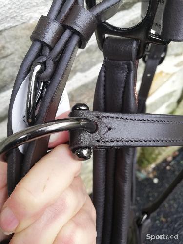 Equitation - licol cuir paillettes neufs noir ou marron, cob ou cheval  - photo 6