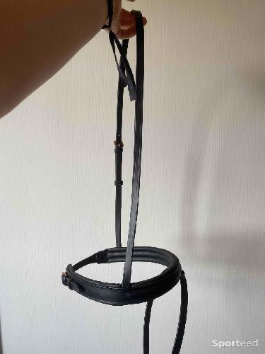Equitation - Muserolle avec noseband  - photo 5