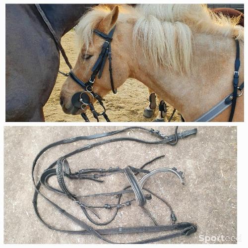 Equitation - Bridon + renes - photo 3