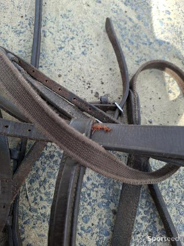 Equitation - Bridon  - photo 3