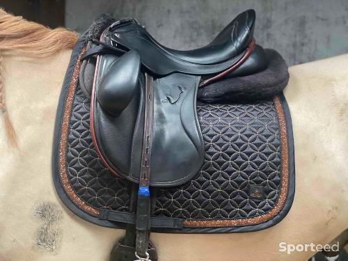 Equitation - Selle dressage  - photo 6