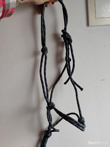 Equitation - Licol éthologique  - photo 3