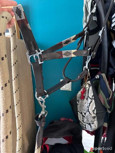Equitation - Licol Flags and cup et longe canter - photo 3