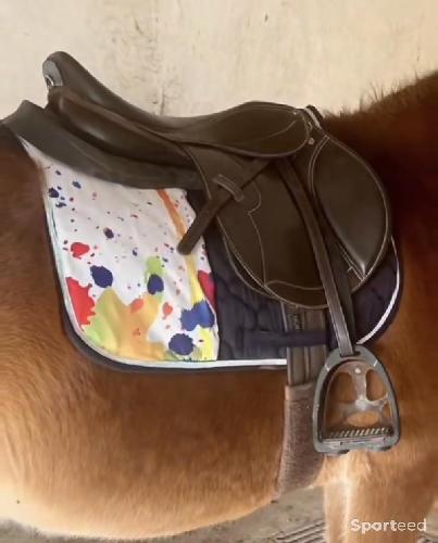 Equitation - Tapis de selle mixte bleu marine motif graphique - photo 4