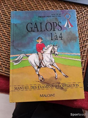 Equitation - Livre galop  - photo 4